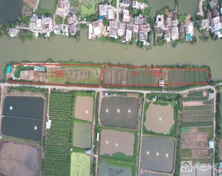 中山市坦洲镇群联村五福小组标一约9亩耕地（中山市坦洲镇群联村五福队）