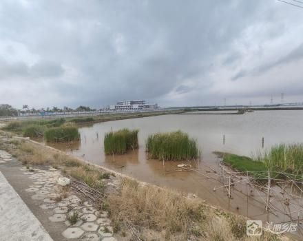 中山市坦洲镇新围186.4447亩鱼塘（广东省中山市坦洲镇新合村民委员会）