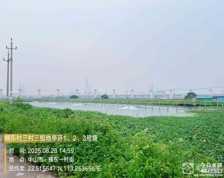横栏镇横东村三村三组地亭开1、2、3号塘（中山市横栏镇横东股份合作经济联合社）
