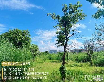 横栏镇横东村永兴区土地87号（中山市横栏镇横东股份合作经济联合社）