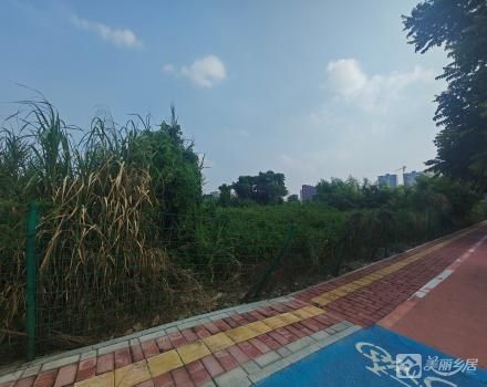 隆昌社区兆丰社两块商业用地（中山市西区隆昌社区兆丰股份合作经济社）