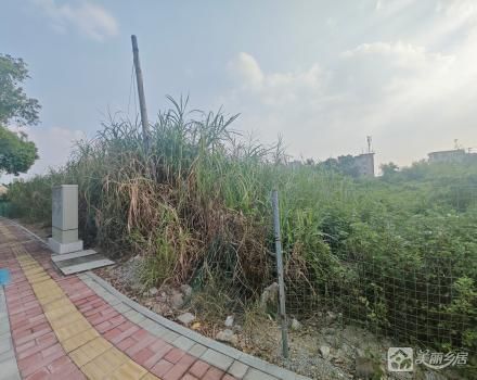 隆昌社区兆丰社两块商业用地（中山市西区隆昌社区兆丰股份合作经济社）