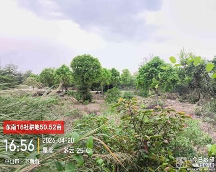 东南16社土地（中山市三角镇东南村东南16社）