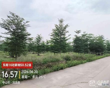 东南16社土地（中山市三角镇东南村东南16社）