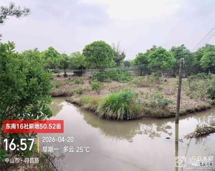 东南16社土地（中山市三角镇东南村东南16社）