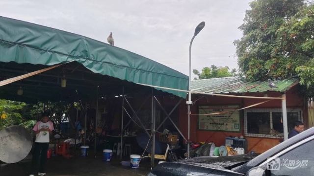 东凤西罟现成种植农场整场转让，接手即收成