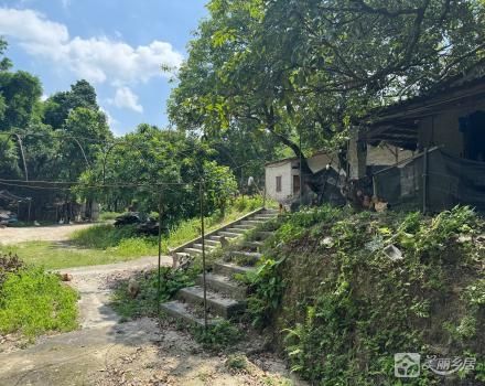 中山市南朗街道白企村元墩小组土名“松树窝”土地（中山市南朗街道白企村元墩股份合作经济社）