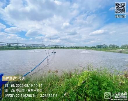 横栏镇横东村三村一组塘尾西边1号塘（中山市横栏镇横东股份合作经济联合社（原三村一组））
