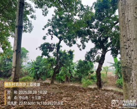 横栏镇横东村三村一组鸡亦沙上荔枝基（中山市横栏镇横东股份合作经济联合社（原三村一组））