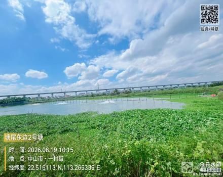 横栏镇横东村三村一组塘尾东边2号塘（中山市横栏镇横东股份合作经济联合社（原三村一组））