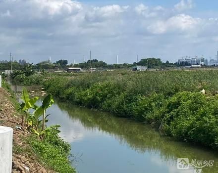 横栏镇六沙村永兴组永贞围河涌（中山市横栏镇六沙股份合作经济联合社）
