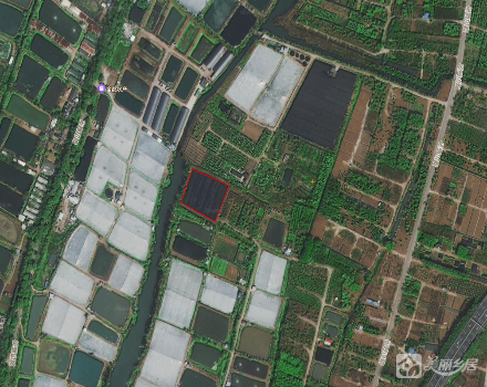 教昌龙鳞沙花木地D1（中山市古镇镇海洲村股份合作经济联合社）