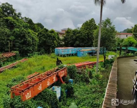 中山市南朗街道白企村剑门小组土名“大舅麻”土地（中山市南朗镇白企村剑门股份合作经济社）