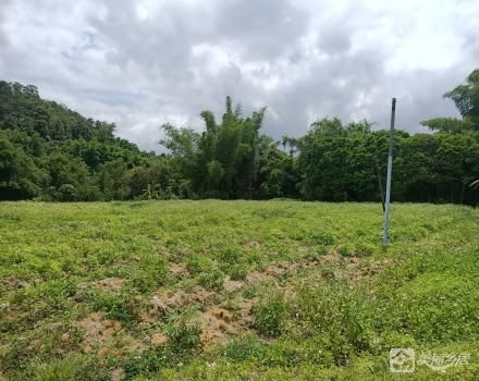 中山市南朗街道白企村瓦屋小组土名“门口田”土地（中山市南朗街道白企村瓦屋股份合作经济）