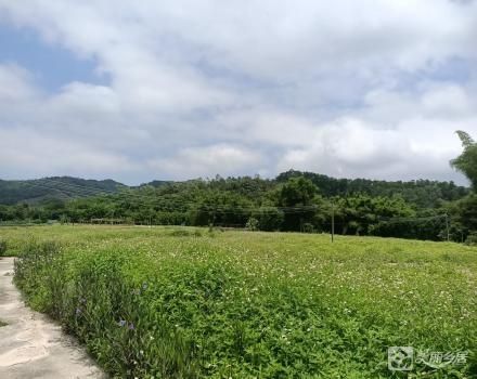 中山市南朗街道白企村瓦屋小组土名“门口田”土地（中山市南朗街道白企村瓦屋股份合作经济）