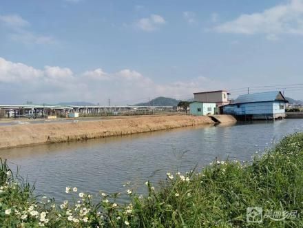 广福三队第七围鱼塘（中山市板芙镇广福村第三村民小组集体经济组织）