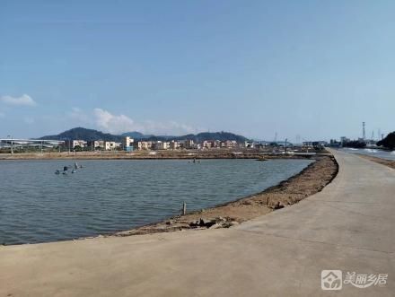广福三队第七围鱼塘（中山市板芙镇广福村第三村民小组集体经济组织）