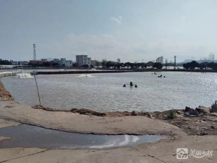 广福三队第七围鱼塘（中山市板芙镇广福村第三村民小组集体经济组织）