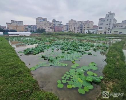 中山市小沥物业管理有限公司普富街小沥家园土地（地块7卡）
